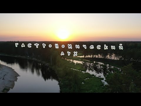 Видео: Гастрономический Лух. #Сплав2023