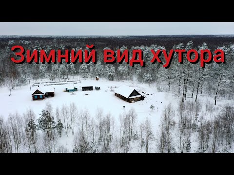 Видео: В зимний лес приехал Вася Пилот , а нам наоборот надо уехать в город . Может хватит этих салатов ?