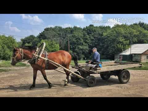 Видео: Село Ивановка, село Никольское. Бековский район, Пензенская область