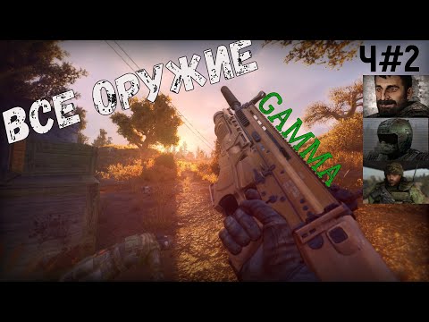 Видео: ОБЗОР ОРУЖИЯ в Anomaly GAMMA STALKER часть#2