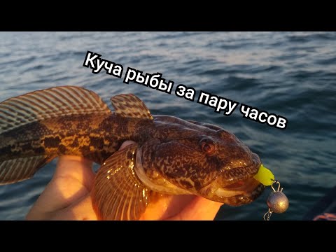 Видео: Ловим бычка на силикон на Черном море