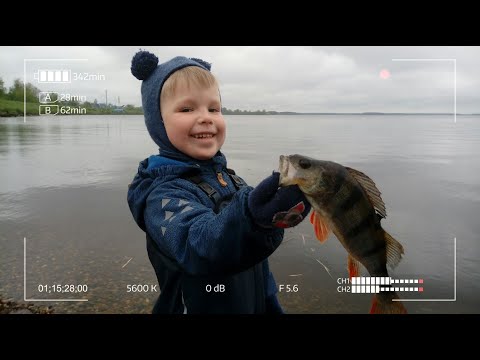 Видео: Летний мормышинг 2020. Рыбалка с сыном на Иваньковском водохранилище