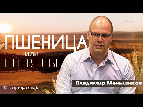 Видео: Пшеница или плевелы | Владимир Меньшиков | Проповедь