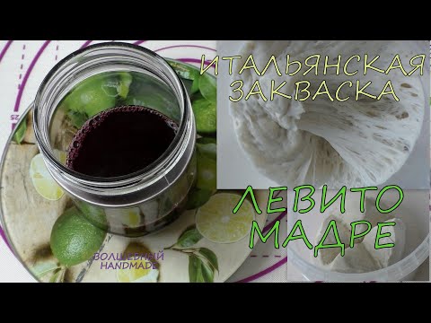 Видео: Итальянская закваска ЛЕВИТО МАДРЕ на виноградной дрожжевой воде//пошагово