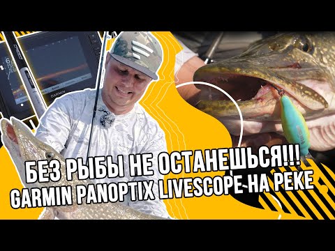 Видео: Оператор поймал трофейного голавля | Константин Кудинов о Garmin Panoptix LiveScope на реке