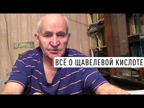 Видео: Кашковский. Лечение пчёл. - Парк Плюс