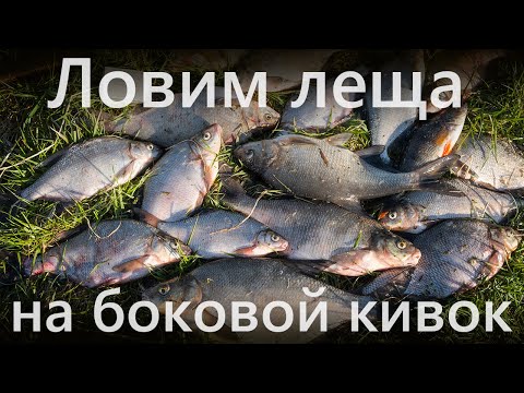 Видео: Лещ на боковой кивок | Весна | Река | Летняя мормышка