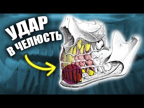 Видео: Почему Удар в Челюсть Приводит к Нокауту