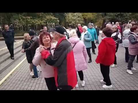 Видео: Белый снег..........12.10.24 Гомель парк Луначарского 🥰