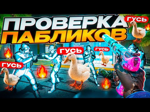 Видео: 🪿 ГУСЬ КОШМАРИТ АДМИНОВ НА ПРОВЕРКЕ - ПРОВЕРКА ПАБЛИКОВ В CS2