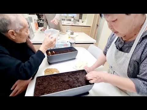 Видео: ВЕСЕННЕ-ПОЛЕВЫЕ РАБОТЫ В ФЕВРАЛЕ/SPRING FIELD WORK IN FEBRUARY