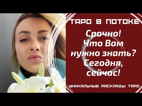 Видео: Срочно! Что Вам нужно знать? Сегодня, сейчас! Совет от высших сил для ВАС!