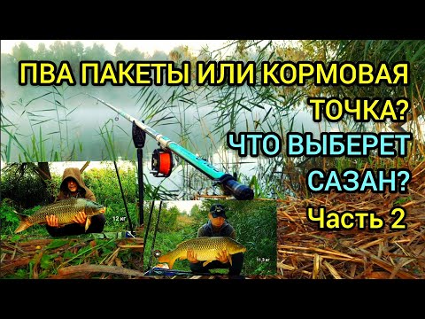 Видео: ПВА пакеты или кормовая точка? Что выберет сазан! Часть 2