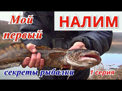 Видео: Рыбалка на НАЛИМА ноябрь 2019. Мой первый налим на Оке. Секреты ловли налима.