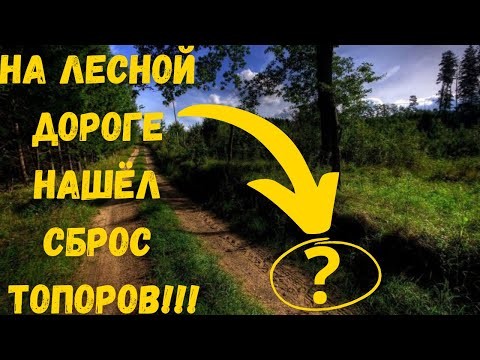 Видео: На лесной дороге нашёл сброс топоров!!!Коп с пиратом!!!!