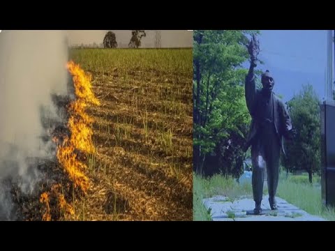Видео: Что? Где? Когда? Вопрос о поджоге рисовых полей