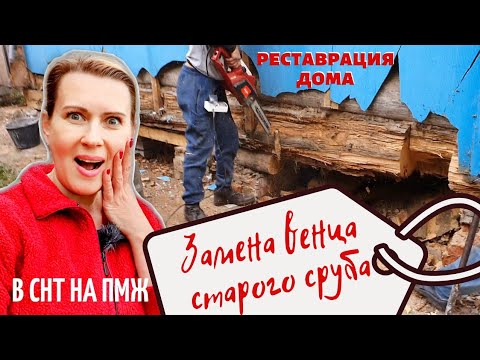 Видео: ДАЧА | Замена венца старого сруба | Реставрация деревянного дома В СНТ НА ПМЖ №11