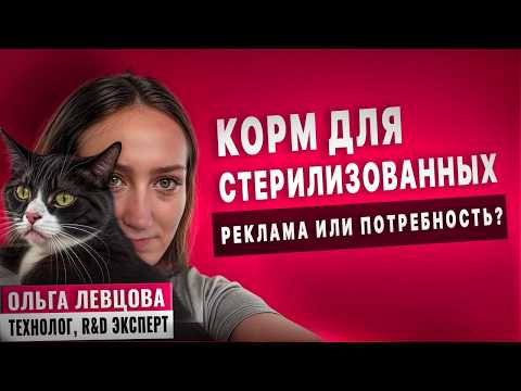 Видео: Мифы о корме для стерилизованных кошек | Интервью с технологом
