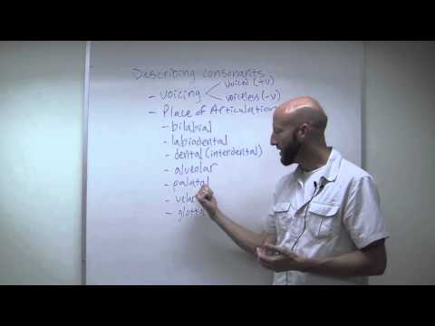 Видео: Фонетика (ч. 1)