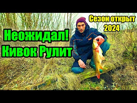 Видео: ТРОФЕЙ на боковой КИВОК НЕ ОЖИДАЛ | Рыбалка на кивок. Ловля карася, карпа весной на удочку с кивком