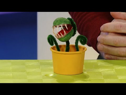 Видео: ☀️С добрым утром, малыши! Венерина Мухоловка - Мастерская