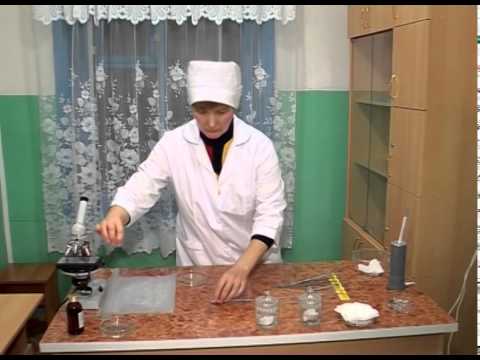Видео: Работа в лаборатории :