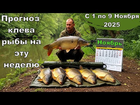 Видео: Прогноз клева рыбы на эту неделю с 1 по 9 ноября 2025 + Секрет Теста Рыбака! Клюёт ВСЁ!