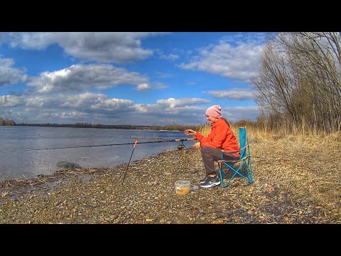 Видео: Весенняя рыбалка 2025  Ловлю на фидер на реке  Поклевки радуют  Russian fishing