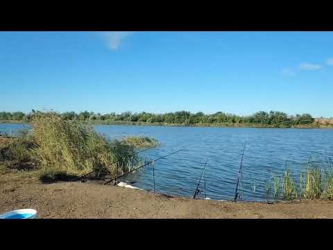 Видео: Рыбалка на реке Нура недалеко от Астаны и не только.