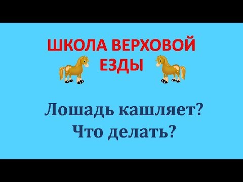 Видео: Лошадь кашляет