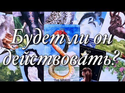 Видео: ⁉️ССОРА, КОНФЛИКТ, СИТУАЦИЯ НЕОПРЕДЕЛЁННОСТИ МЕЖДУ ВАМИ!💔ЧТО ОН РЕШИЛ? БУДЕТ ЛИ ОН ДЕЙСТВОВАТЬ?♥️♠️