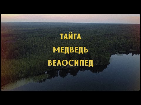 Видео: ОДИНОЧНОЕ велопутешествие в СИБИРСКОЙ ТАЙГЕ