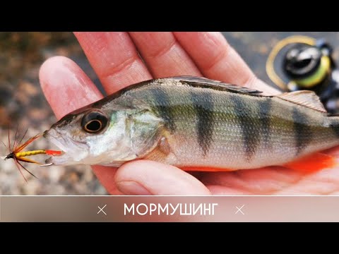 Видео: МОРМУШИНГ река Кондома MAXIMUS STREETRACER nano jig