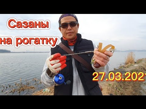 Видео: Самодельные стрелы из бура. настрылял полмешка сазаны - караси.  #SlingshotFishing