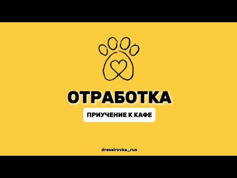 Видео: КАК ПРИУЧИТЬ СОБАКУ СПОКОЙНО ХОДИТЬ В КАФЕ И РЕСТОРАНЫ