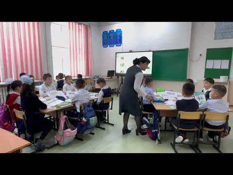 Видео: Түбір мен қосымша