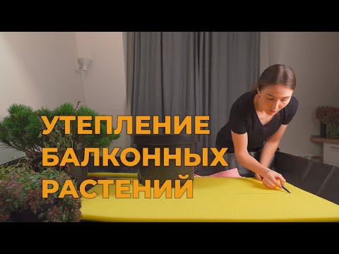 Видео: Утепление балконных растений на зиму