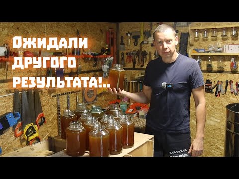 Видео: По всей области плохо с мёдом. А как у нас?