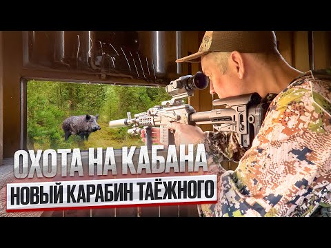 Видео: ОХОТА НА КАБАНА 2025 // ОБНОВЛЯЮ КАРАБИН // БОГАТОЕ ОХОТХОЗЯЙСТВО