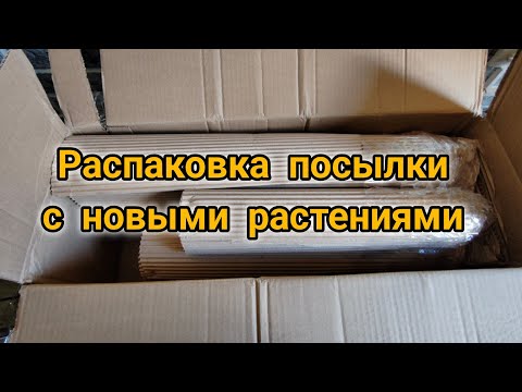 Видео: Распаковка посылки с новыми растениями.