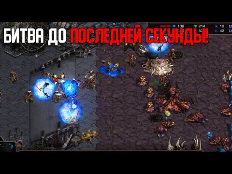 Видео: Старкрафт P VS Z Кто победит в жестокой схватке?