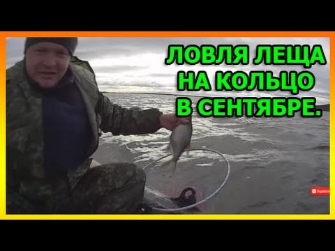 Видео: Ловля леща на кольцо в сентябре. Волга. Сызрань.