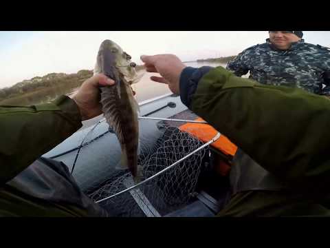 Видео: ПВХ Касатка 335/Мерк 15. Ока Кашира. Щука и не Только!