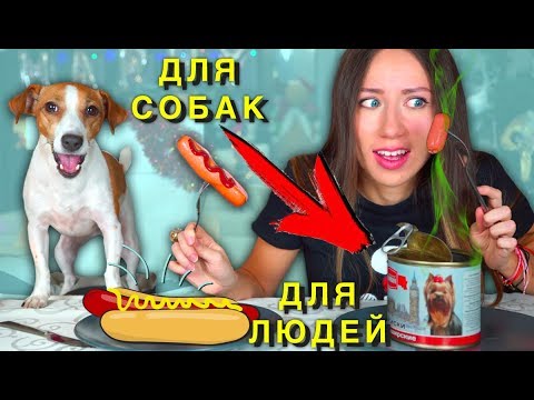 Видео: Собачья Еда ПРОТИВ Настоящей Челлендж ч 2 Не Обычная Еда | Elli Di Pets