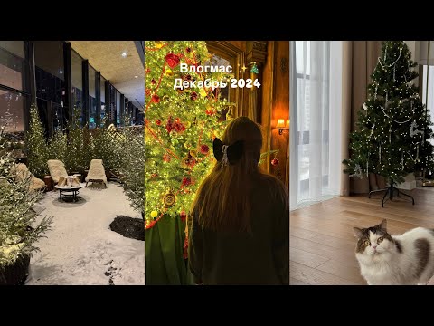 Видео: влогмас | декабрь 2024 | наряжаем елку | встречи с подружками