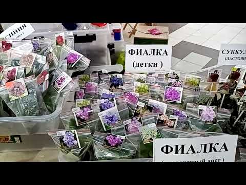 Видео: Выставка в Галактике 14-15 сентября. Завершаем обзор.