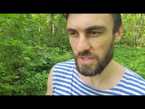 Видео: Гостилицы дом с фонтаном и прудом (купля-продажа Руслан 89616093018)