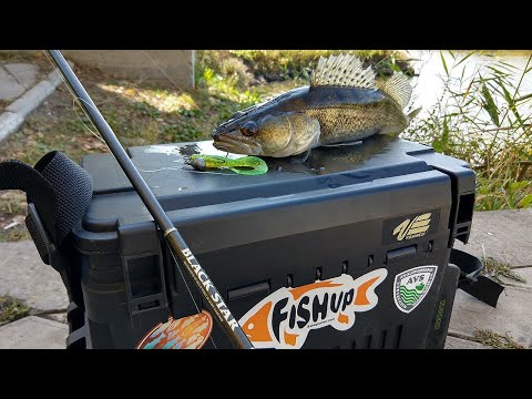 Видео: Ловля судака на незнакомом ставке. Где искать и на что?