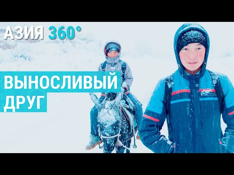 Видео: В школу через горы | АЗИЯ 360°