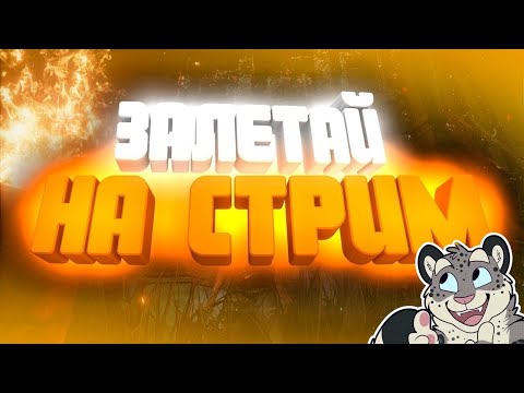 Видео: играю что по кайфу
